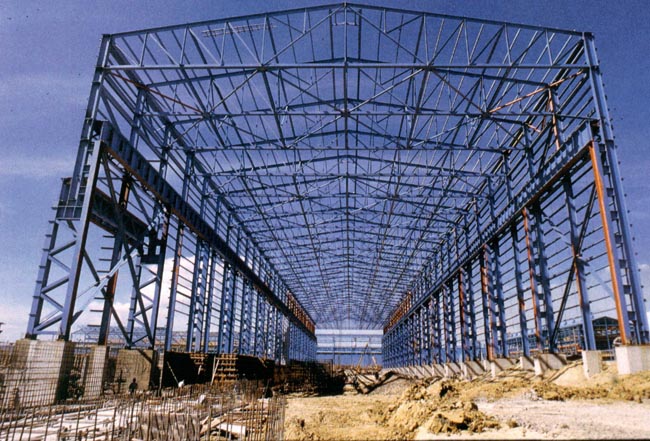 安国船厂网架工程